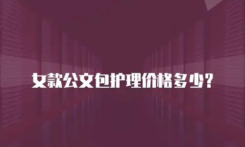 女款公文包护理价格多少？