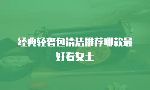 经典轻奢包清洁推荐哪款最好看女士