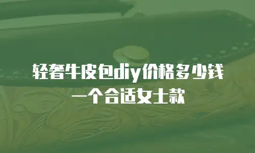 轻奢牛皮包diy价格多少钱一个合适女士款