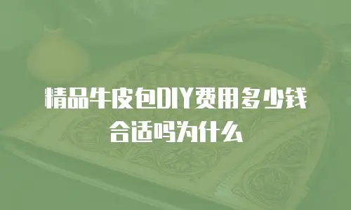 精品牛皮包DIY费用多少钱合适吗为什么