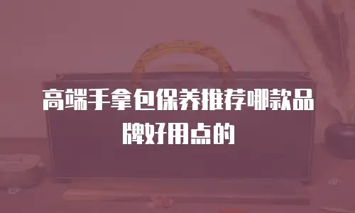高端手拿包保养推荐哪款品牌好用点的