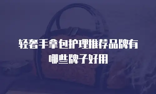 轻奢手拿包护理推荐品牌有哪些牌子好用