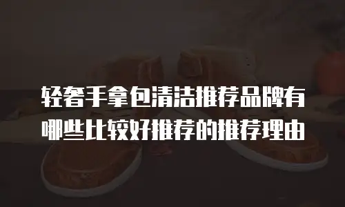 轻奢手拿包清洁推荐品牌有哪些比较好推荐的推荐理由