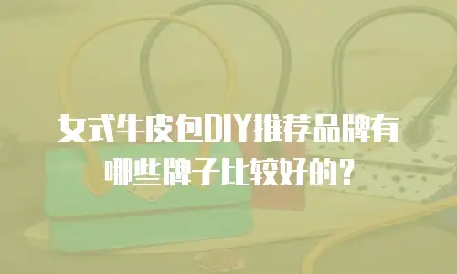 女式牛皮包DIY推荐品牌有哪些牌子比较好的？