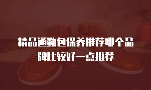 精品通勤包保养推荐哪个品牌比较好一点推荐