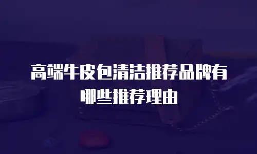 高端牛皮包清洁推荐品牌有哪些推荐理由