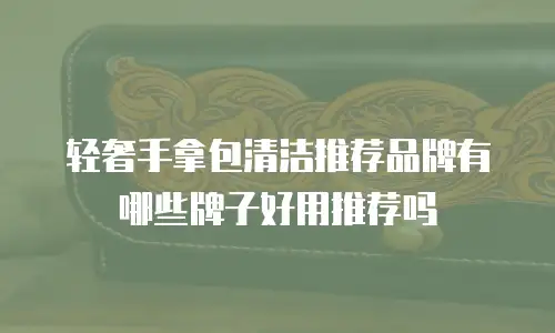 轻奢手拿包清洁推荐品牌有哪些牌子好用推荐吗