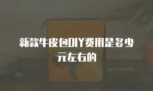 新款牛皮包DIY费用是多少元左右的