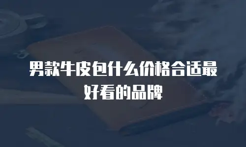 男款牛皮包什么价格合适最好看的品牌