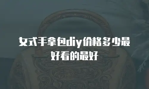 女式手拿包diy价格多少最好看的最好