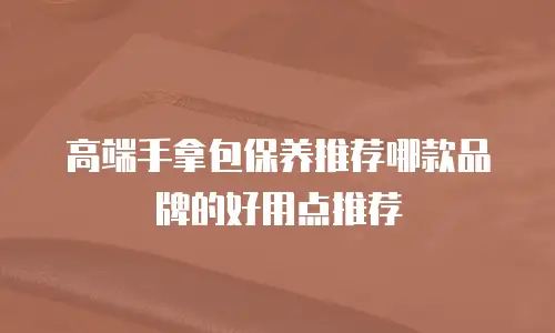 高端手拿包保养推荐哪款品牌的好用点推荐