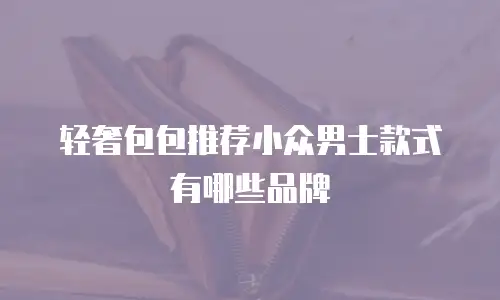 轻奢包包推荐小众男士款式有哪些品牌