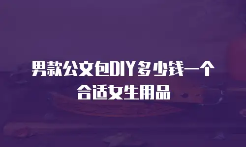男款公文包DIY多少钱一个合适女生用品