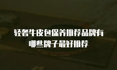 轻奢牛皮包保养推荐品牌有哪些牌子最好推荐