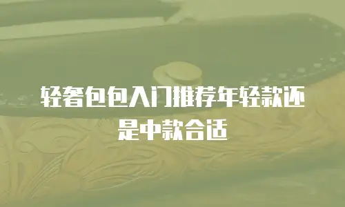轻奢包包入门推荐年轻款还是中款合适