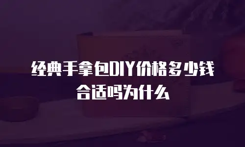 经典手拿包DIY价格多少钱合适吗为什么