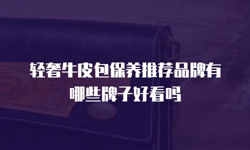 轻奢牛皮包保养推荐品牌有哪些牌子好看吗