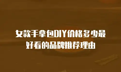 女款手拿包DIY价格多少最好看的品牌推荐理由