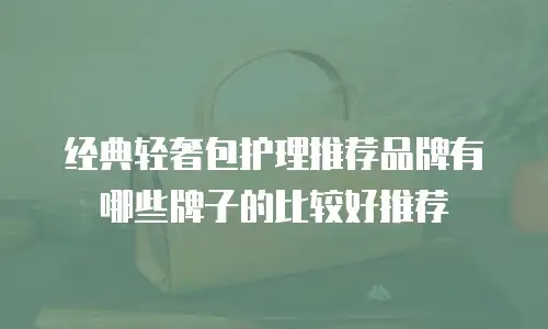 经典轻奢包护理推荐品牌有哪些牌子的比较好推荐