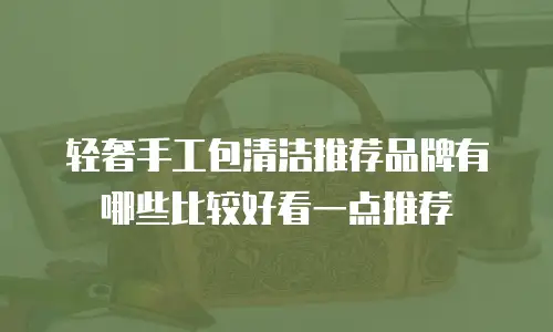 轻奢手工包清洁推荐品牌有哪些比较好看一点推荐