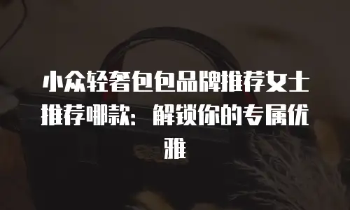 小众轻奢包包品牌推荐女士推荐哪款：解锁你的专属优雅