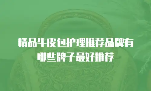 精品牛皮包护理推荐品牌有哪些牌子最好推荐