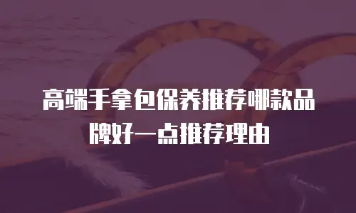高端手拿包保养推荐哪款品牌好一点推荐理由