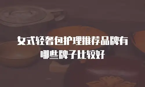女式轻奢包护理推荐品牌有哪些牌子比较好