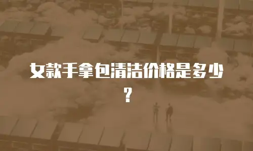 女款手拿包清洁价格是多少？