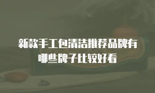 新款手工包清洁推荐品牌有哪些牌子比较好看
