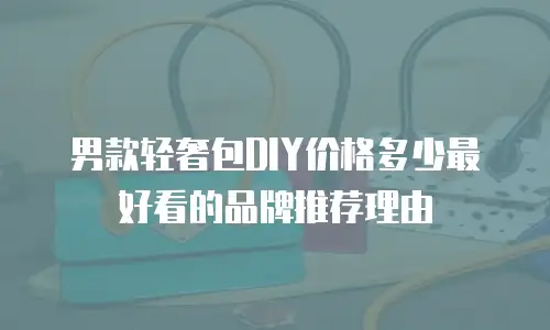 男款轻奢包DIY价格多少最好看的品牌推荐理由