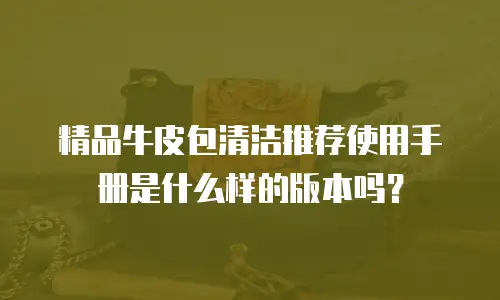 精品牛皮包清洁推荐使用手册是什么样的版本吗？
