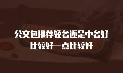 公文包推荐轻奢还是中奢好比较好一点比较好