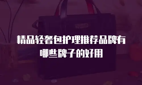 精品轻奢包护理推荐品牌有哪些牌子的好用