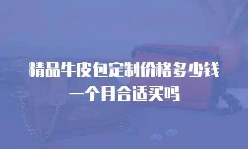 精品牛皮包定制价格多少钱一个月合适买吗
