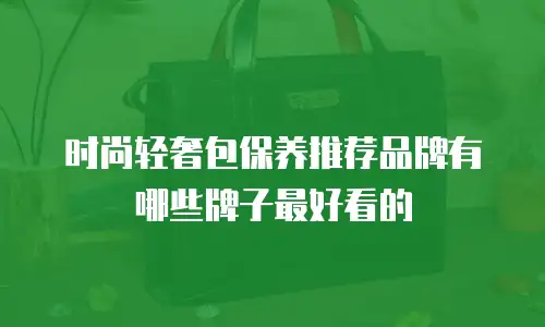 时尚轻奢包保养推荐品牌有哪些牌子最好看的