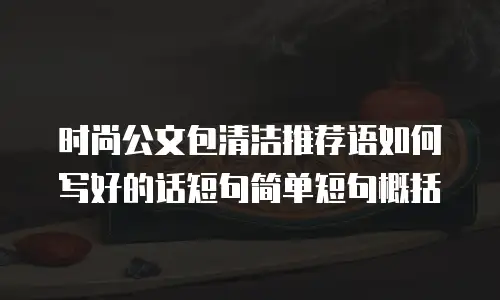 时尚公文包清洁推荐语如何写好的话短句简单短句概括