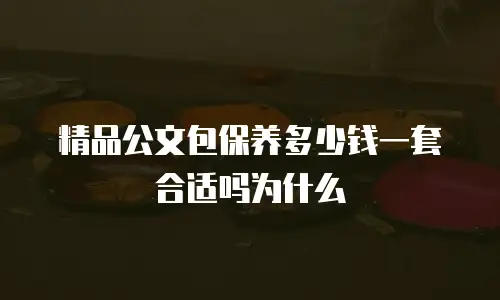 精品公文包保养多少钱一套合适吗为什么