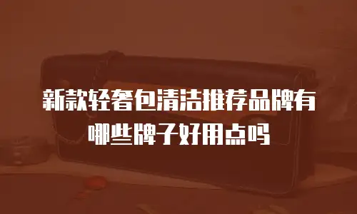 新款轻奢包清洁推荐品牌有哪些牌子好用点吗