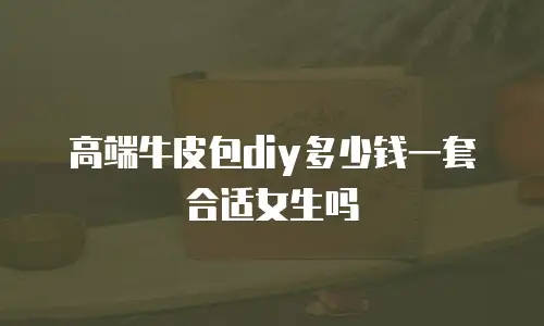 高端牛皮包diy多少钱一套合适女生吗