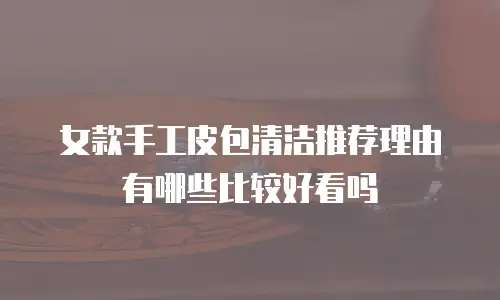 女款手工皮包清洁推荐理由有哪些比较好看吗