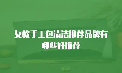 女款手工包清洁推荐品牌有哪些好推荐