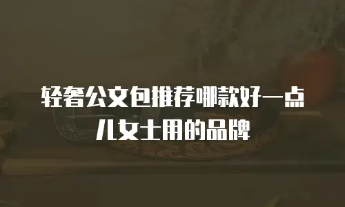 轻奢公文包推荐哪款好一点儿女士用的品牌