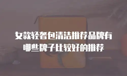 女款轻奢包清洁推荐品牌有哪些牌子比较好的推荐