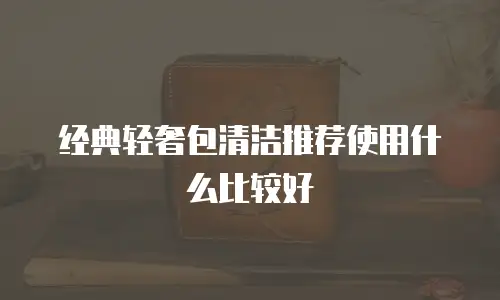 经典轻奢包清洁推荐使用什么比较好