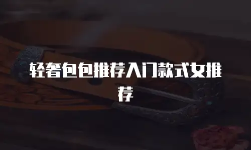 轻奢包包推荐入门款式女推荐