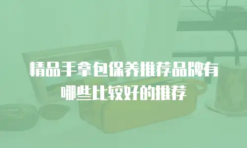 精品手拿包保养推荐品牌有哪些比较好的推荐