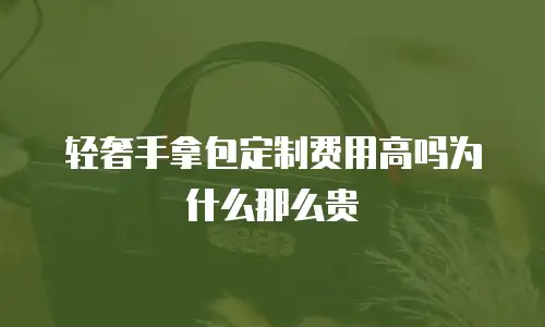 轻奢手拿包定制费用高吗为什么那么贵