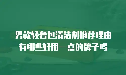 男款轻奢包清洁剂推荐理由有哪些好用一点的牌子吗