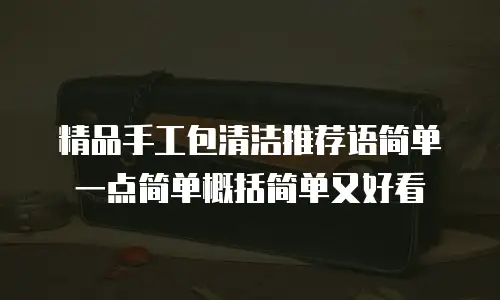 精品手工包清洁推荐语简单一点简单概括简单又好看